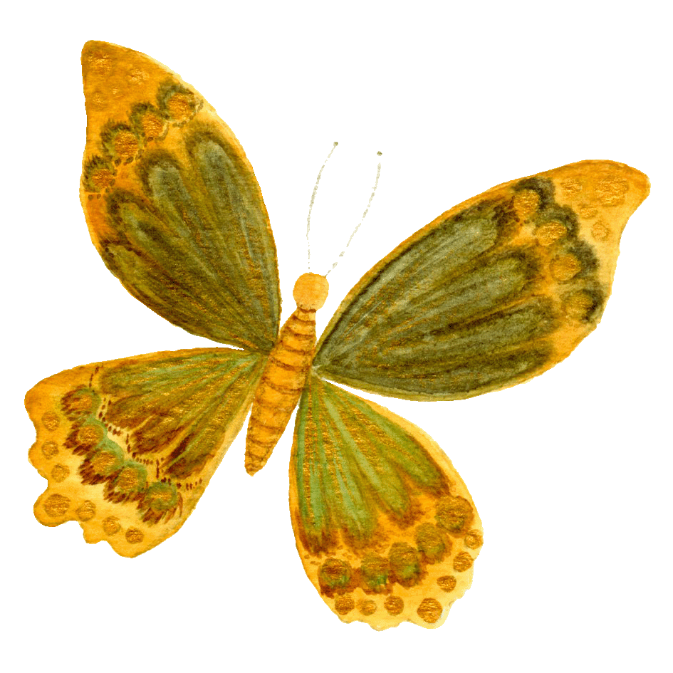 Schmetterling_fliegend