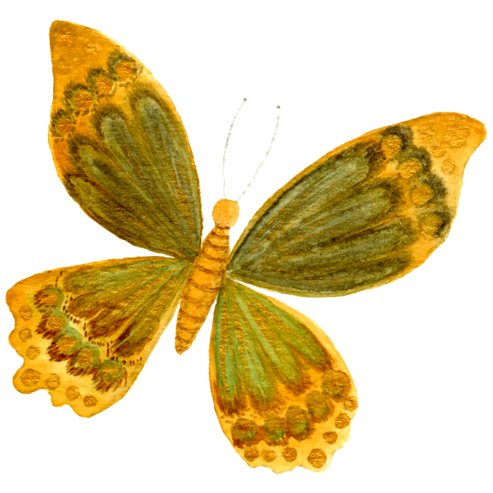 Schmetterling_fliegend
